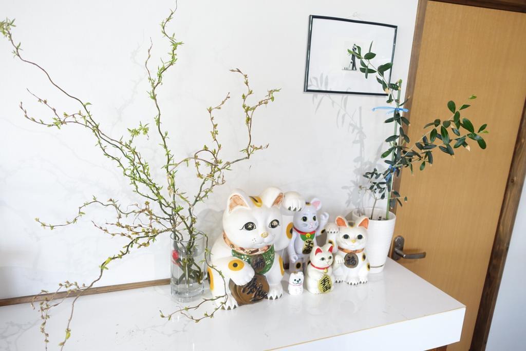 Guest House Hamada-En Tottori Ngoại thất bức ảnh